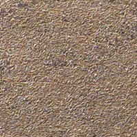 rsm 12
